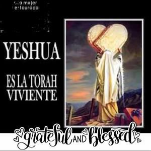 Meet your Posher, Magdalena